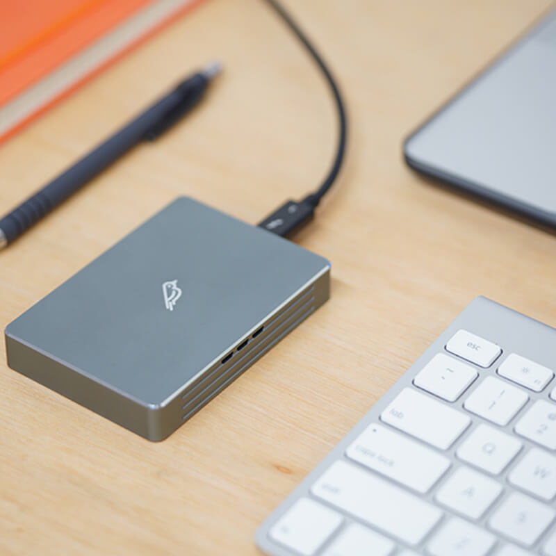 fledging shell thunder