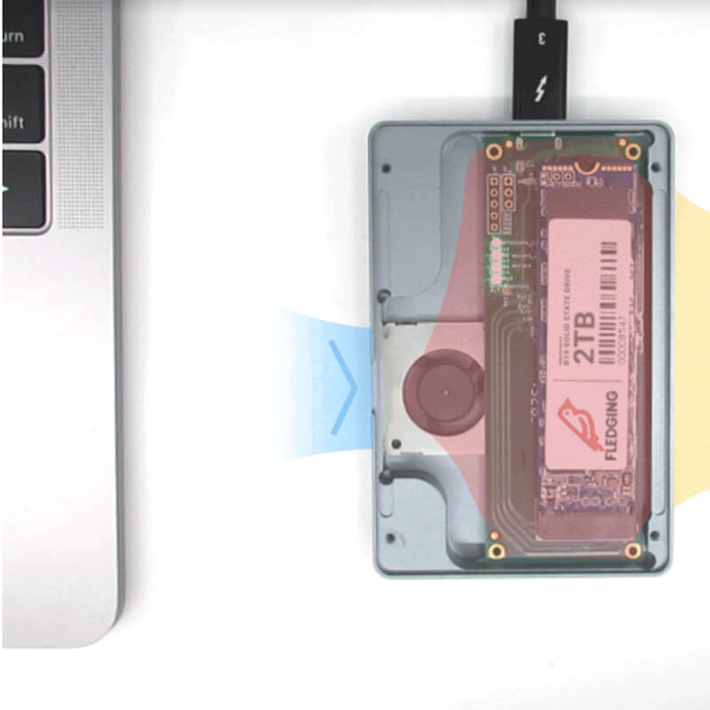 fledging shell thunder