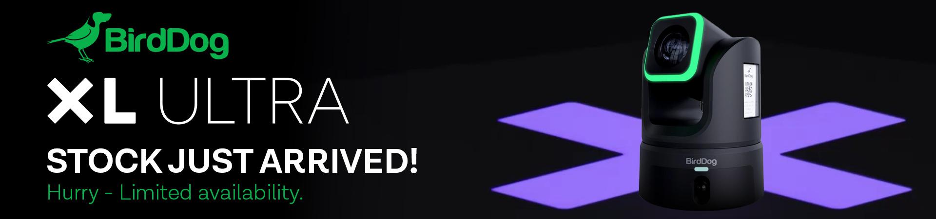 BirdDog XL Ultra In Stock