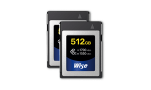 Wise Advanced memory cards