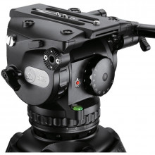 Ikan GH25