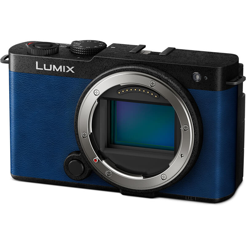 Panasonic LUMIX DC-S9 - Holdan